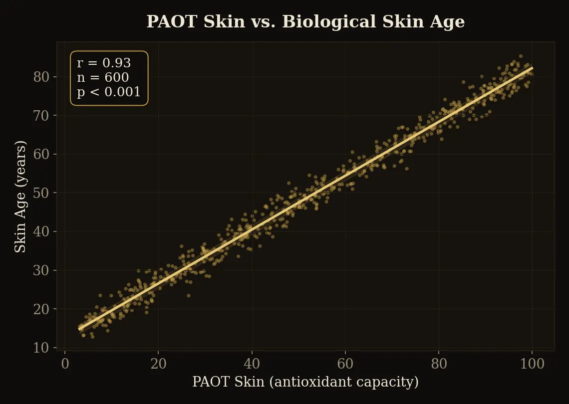 PAOT Skin score versus biological skin age (left) and skin hydration (right): antioxidant capacity tracks both